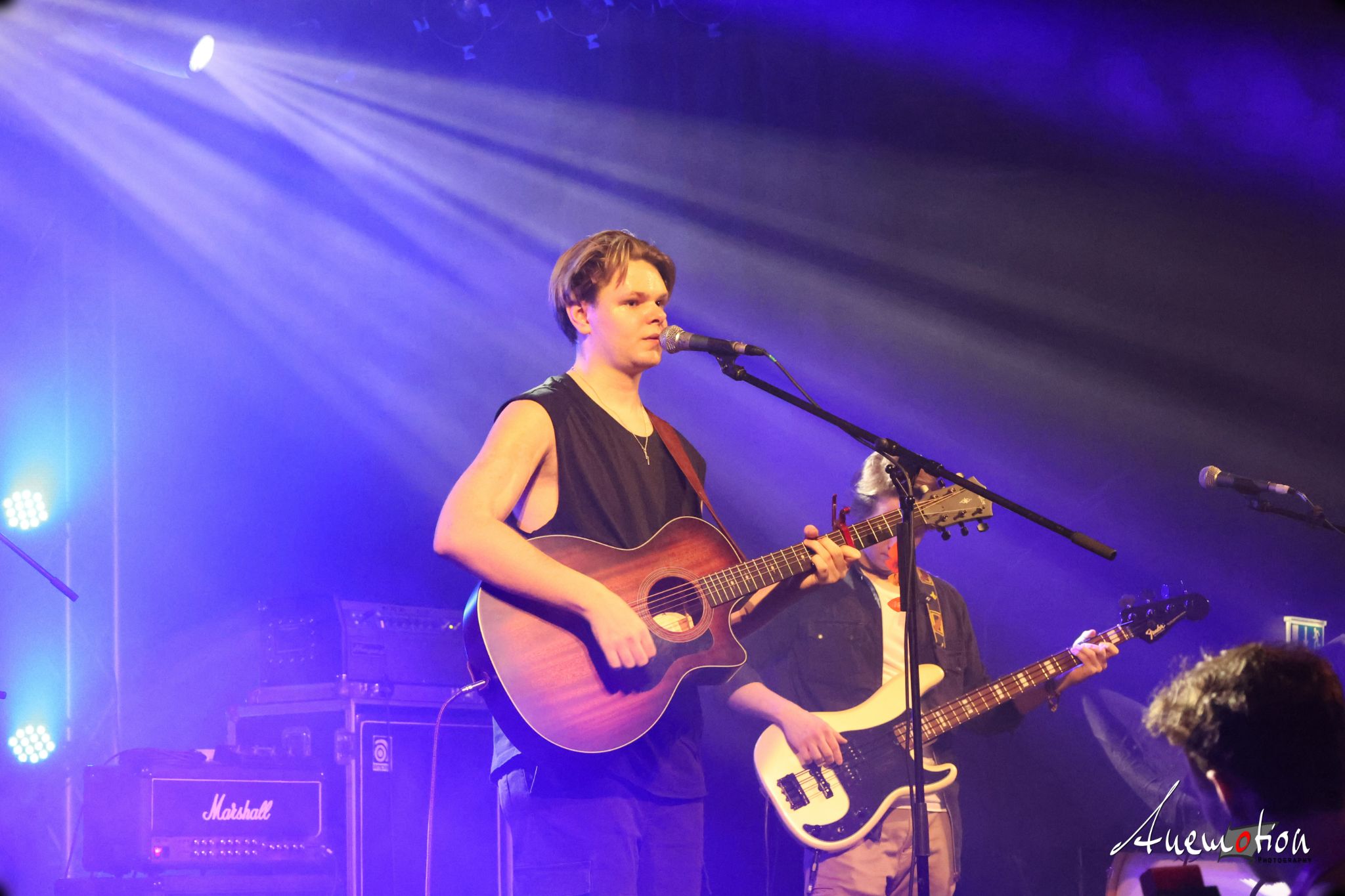 ElephantsFalling (41)